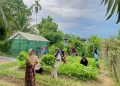 Medco E&P Malaka Dorong Ketahanan Pangan, Warga Indra Makmu Mampu Mandiri dengan Kebun Sayur