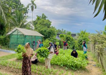 Medco E&P Malaka Dorong Ketahanan Pangan, Warga Indra Makmu Mampu Mandiri dengan Kebun Sayur