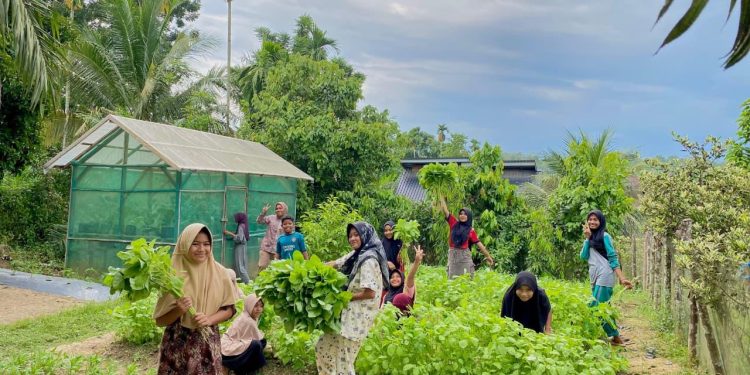 Medco E&P Malaka Dorong Ketahanan Pangan, Warga Indra Makmu Mampu Mandiri dengan Kebun Sayur